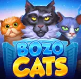 Bozocats на Vulkan Казино